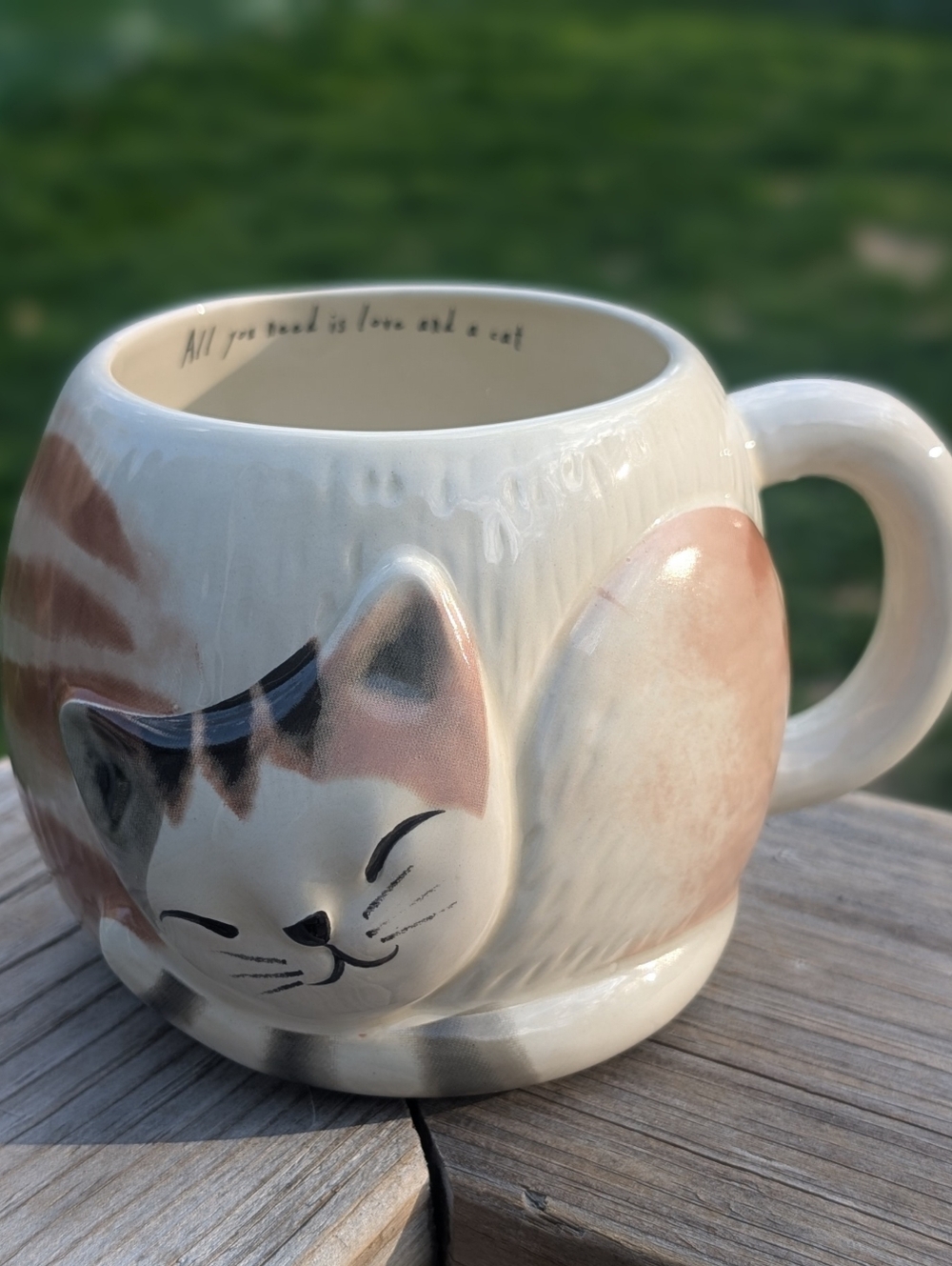 Natural Life 🌸 | 🐱Decorative Mug | 💵 Make an Offer - Picture 7 of 12